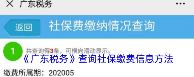 广东税务怎么查询缴费记录-广东税务app查询社保缴费信息方法