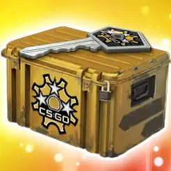 Case