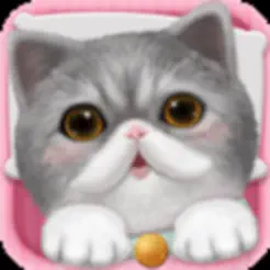 心动小猫