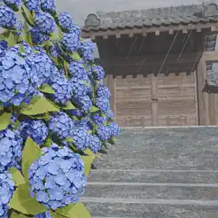 脱出ゲーム　梅雨が明ける‪日‬