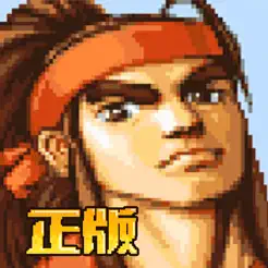 欢动三国战纪游戏软件苹果版V1.0