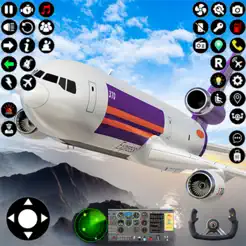 Flight
