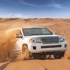 Dirt