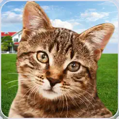 猫收容所模拟器：我的宠‪物‬