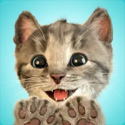 小猫咪