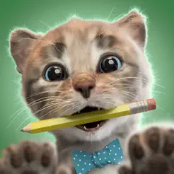小猫咪和朋友们