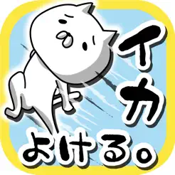ネコがイカをよける‪。‬