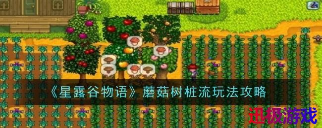星露谷物语蘑菇树桩流玩法是什么-玩法攻略