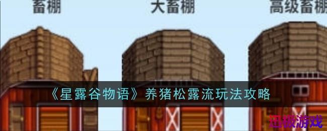 星露谷物语养猪松露流玩法是什么-玩法攻略