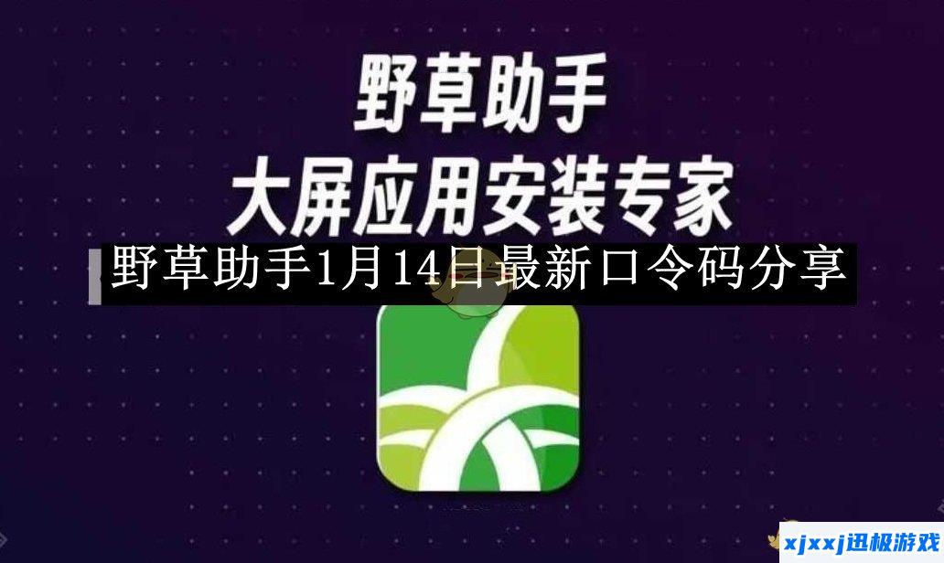 野草助手1月14日最新口令码分享-野草助手1月14日最新口令码是什么